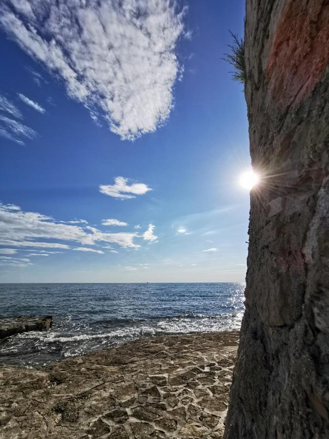 Lara Deluxe Superior 5 Star Apartment, Your Piece Of Heaven By The Sea & Park Новиград Экстерьер фото